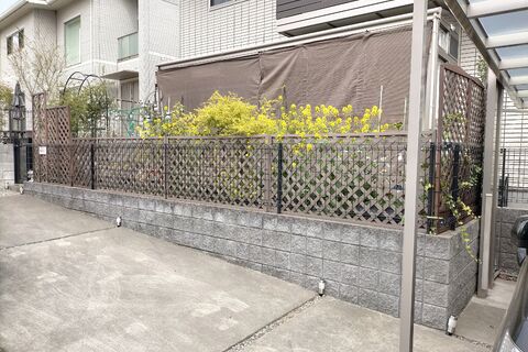 IMG20210319114712