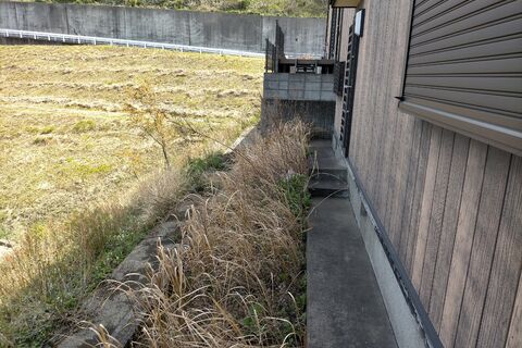 IMG20220403101155
